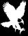 http://insightforce.com/sitebuilder/images/eagle4-41x53.jpg